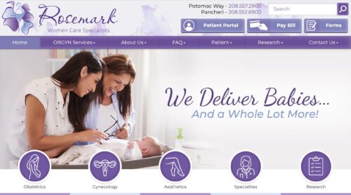 Marketing consultant - website developer project for Rosemark